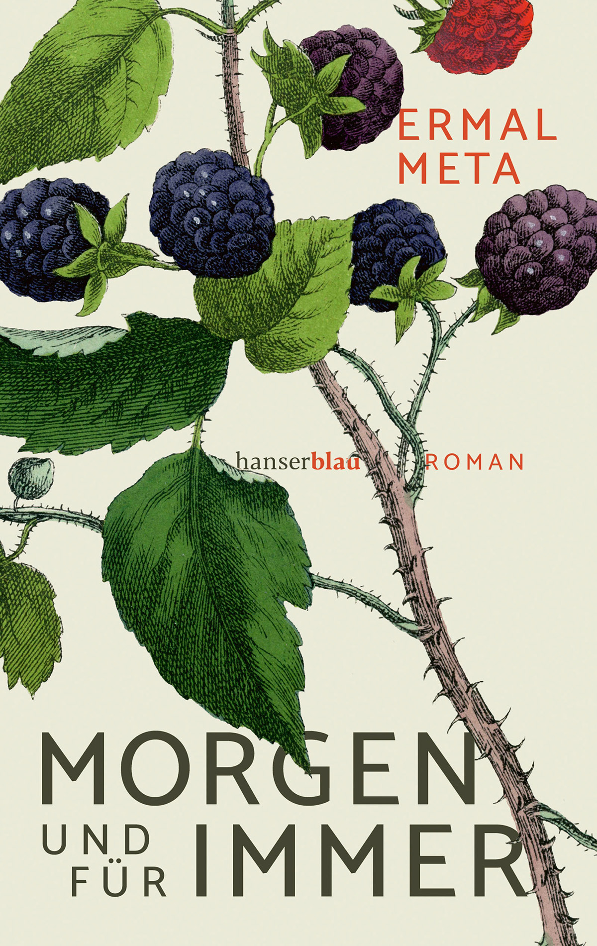 Buch-Cover